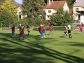 IMG_0424