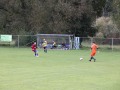 IMG_0439