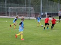 IMG_0631