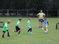 IMG_0643