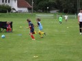IMG_0649