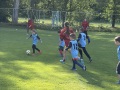 IMG_1262